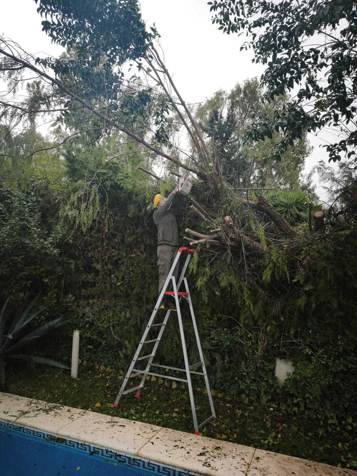 jardineros en Sevilla